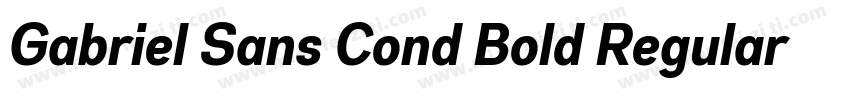Gabriel Sans Cond Bold Regular字体转换